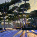 Borghese Pines., pastel on prepared paper, 14 x 14 inches [sold]
